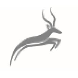 IMPALA ASSET MANAGEMENT LLC