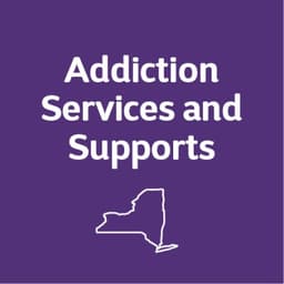 THE NATIONAL CENTER ON ADDICTION AND SUBSTANCE ABUSE