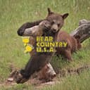 BEAR COUNTRY USA, INC.