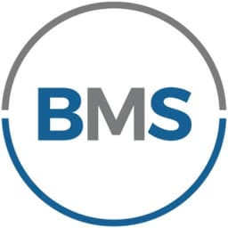 BMS HOLDINGS, INC.