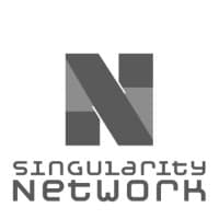SINGULARITY SECURITY GROUP LLC