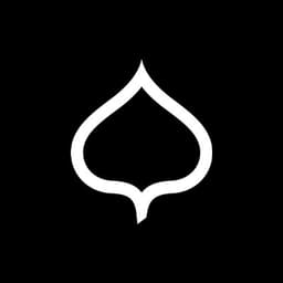 ASPEN SKIING COMPANY