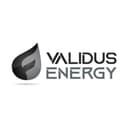 VALIDUS ENERGY SERVICES LLC