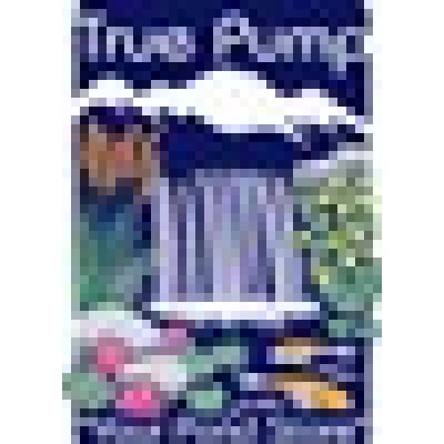 TRUE PUMP & EQUIPMENT INC.