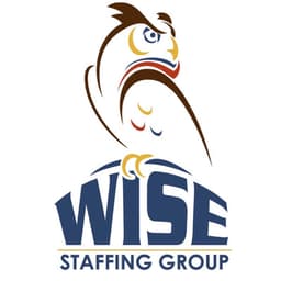 WISE STAFFING SERVICES, INC.