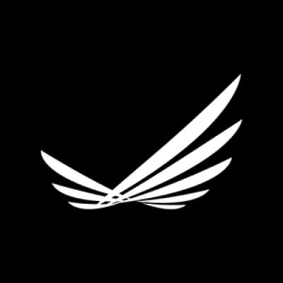 ROBERT WOOD JOHNSON FOUNDATION logo image