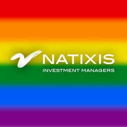 NATIXIS INVESTMENT MANAGERS, LLC
