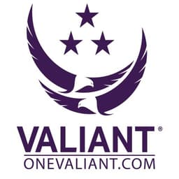 VALIANT INTEGRATED SERVICES LLC