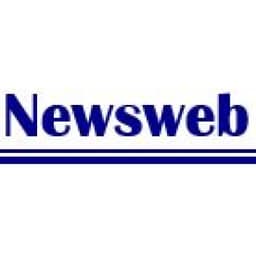 NEWSWEB LLC
