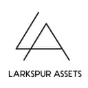 LARKSPUR INVESTMENT HOLDINGS, INC.