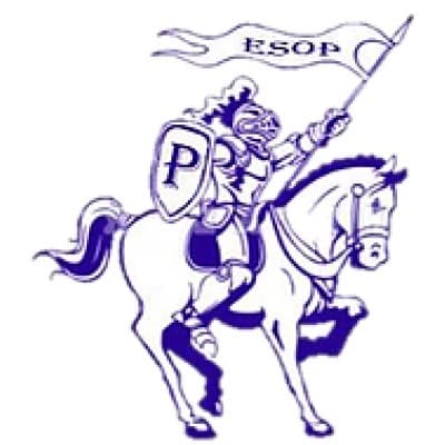 PALADIN CAPITAL INC logo image