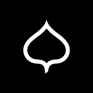 ASPEN SKIING COMPANY