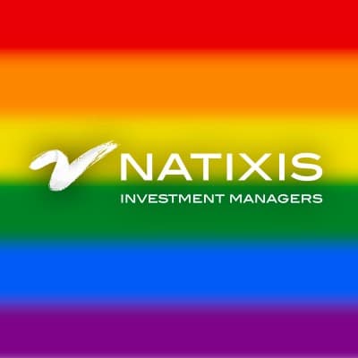 NATIXIS INVESTMENT MANAGERS, LLC logo image